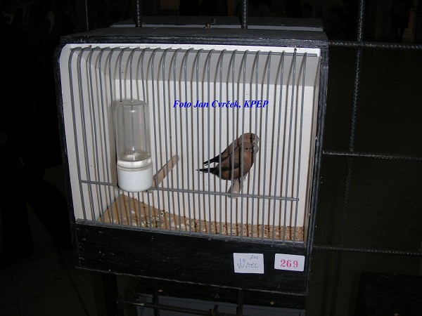Ptačí svět 2007